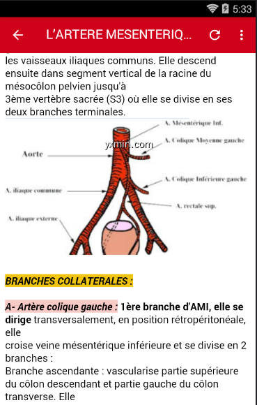 【图】Anatomie(截图2)