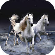 Horse Wallpapers HD Horse Wallpapers HD