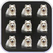 Pets Dogs Pattern Lock Screen Pets Dogs Pattern Lock Screen