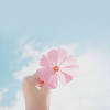 Girly Wallpapers Full HD 2021 Girly Wallpapers Full HD 2021
