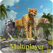 Cheetah Multiplayer