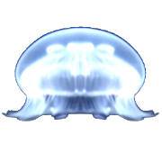 Jellyfish breeding game – free observation neglect