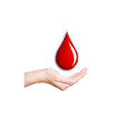Red Blood Donors Red Blood Donors