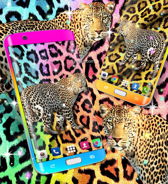 【图】Cheetah leopard live wallpaper(截图1)