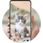 Pet animal starry kitten lovely cute theme Pet animal starry kitten lovely cute theme