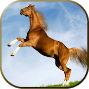 Imagenes de Caballos