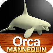 Orca Mannequin Orca Mannequin