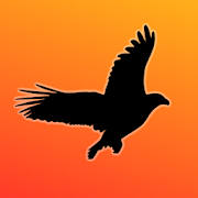 The Bird Game