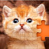 Puzzles for adults offline