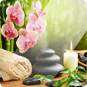 Massage Therapy Techniques Massage Therapy Techniques