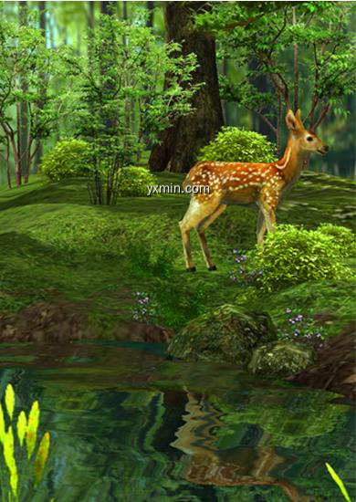 【图】3D Nature Deer Live Wallpaper(截图2)