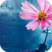 AppLock Theme Flower AppLock Theme Flower