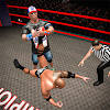 Wrestling Fight Revolution 3D