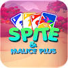 Skipo Plus – Card Game