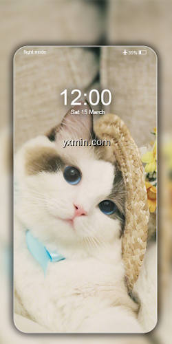 【图】Cute Cat Wallpaper Live HD 4K(截图2)