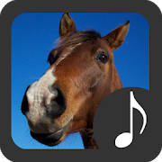 Horse Sounds