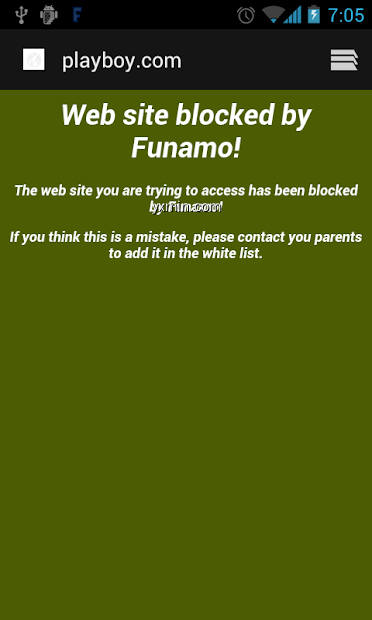 【图】Funamo Safe Browser 3.0(截图1)