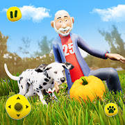 Pet Dog Family Home Adventure Pet Dog Family Home Adventure