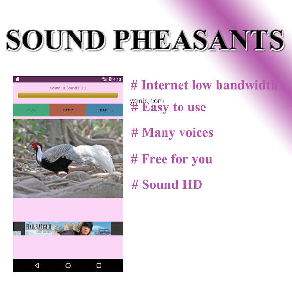 【图】Pheasant phonetically(截图 1)