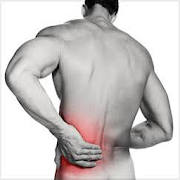 Back Pain Exercises Back Pain Exercises