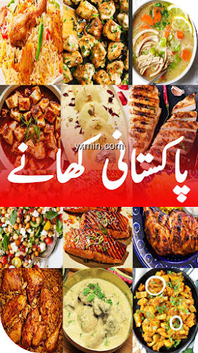 【图】Pakistani Recipes in Urdu 2023(截图1)