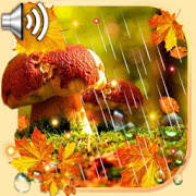 Autumn Rain live wallpaper