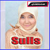 Lagu Sulis Full Album Mp3 Offline