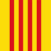 Catalunya TV, Noticies i +