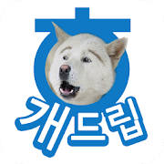 개드립 – 오늘의유머 이슈 짤방 개그