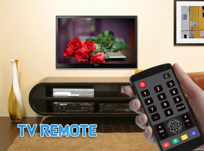 【图】Universal TV Remote Control(截图1)