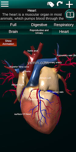 【图】Internal Organs in 3D Anatomy(截图2)