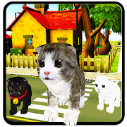 Kitten Cat Craft-Cat Vs Dog