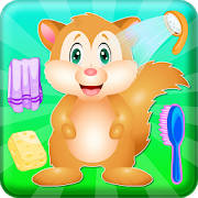 Pet Care Squirrel Animal Pet Care Squirrel Animal