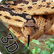 Angry Anaconda Snake Attack Simulator 2K18 Angry Anaconda Snake Attack Simulator 2K18