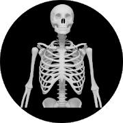 Radiologia Mobile