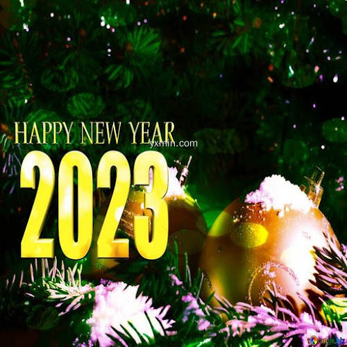 【图】Happy New Year 2023(截图 0)