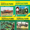 Agriculture: Handbook.