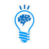 Cerebellum