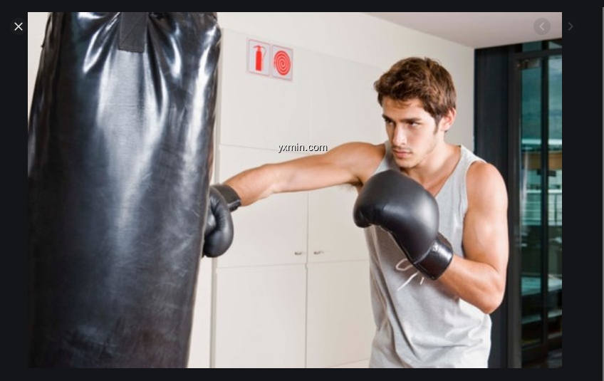 【图】Learn Boxing at home. Boxing e(截图1)