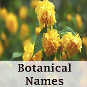 Botanical names – Offline