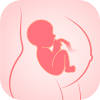 Pregnancy Tracker: Baby Growth