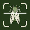 Insect Bug Identifier App Insect Bug Identifier App