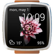 Animated watch faces