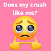 Does My Crush Like Me? Does He Or She Like You?