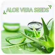 Aloevera Seeds