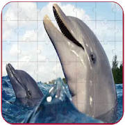 Real Dolphins Game : Jigsaw Puzzle 2019