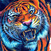 tiger background