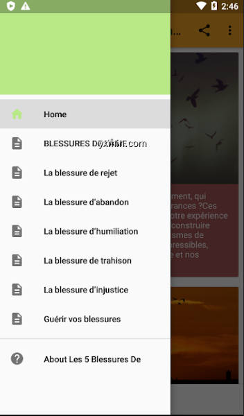 【图】Les 5 Blessures De L’âme :  Guérison(截图1)