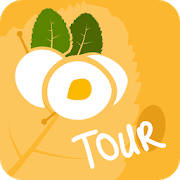 Metz Tour