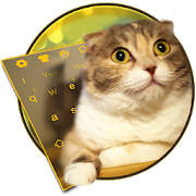 3D Live chubby Cute Kitty Keyboard 3D Live chubby Cute Kitty Keyboard